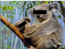 Quo Vadis Dax 2013 - Up, dank Liquidität 628977