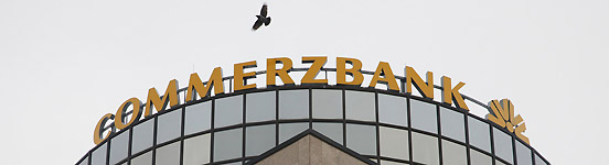 Der USA Bären-Thread 209595