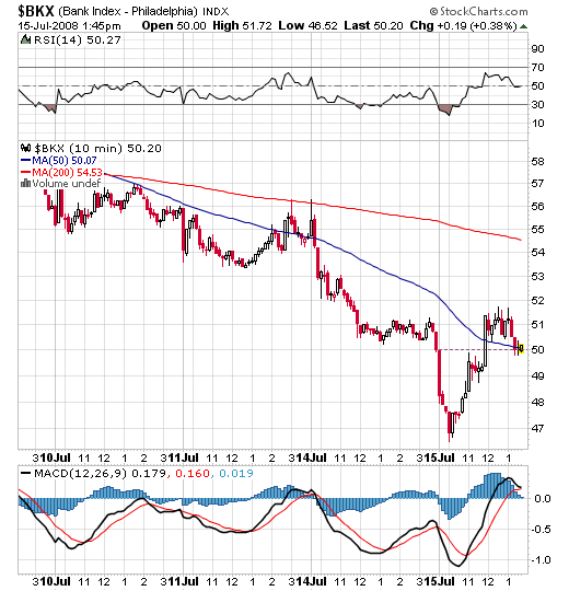 Der USA Bären-Thread 175104