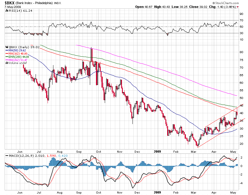 Der USA Bären-Thread 231752