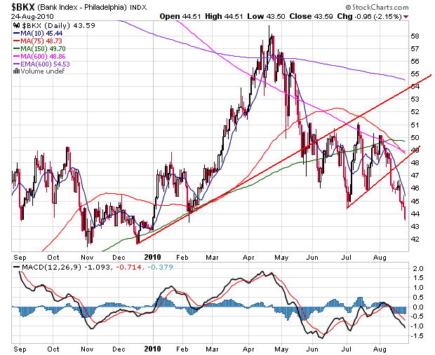 Der USA Bären-Thread 340165