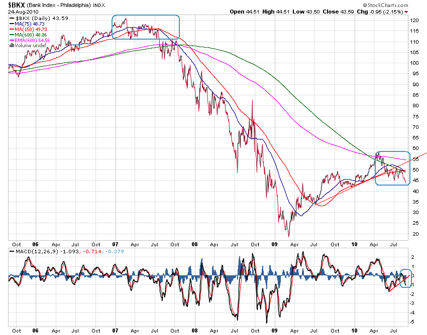 Der USA Bären-Thread 340166