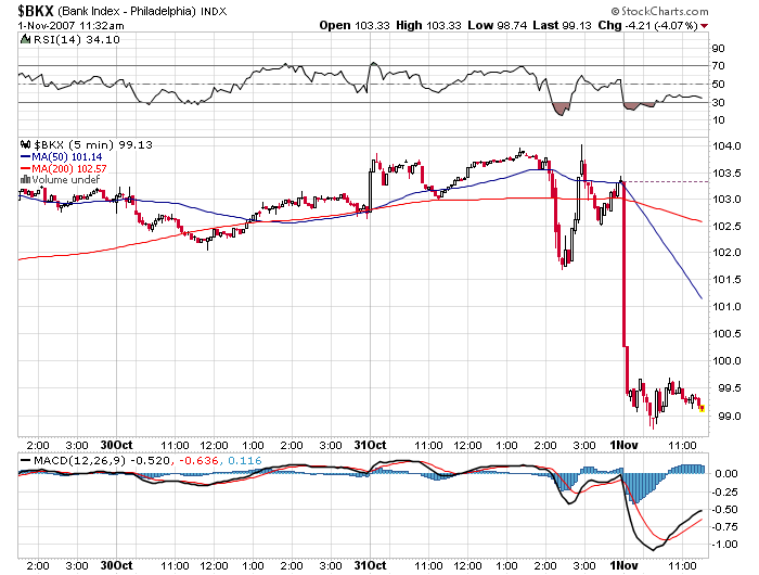 Der USA Bären-Thread 128999