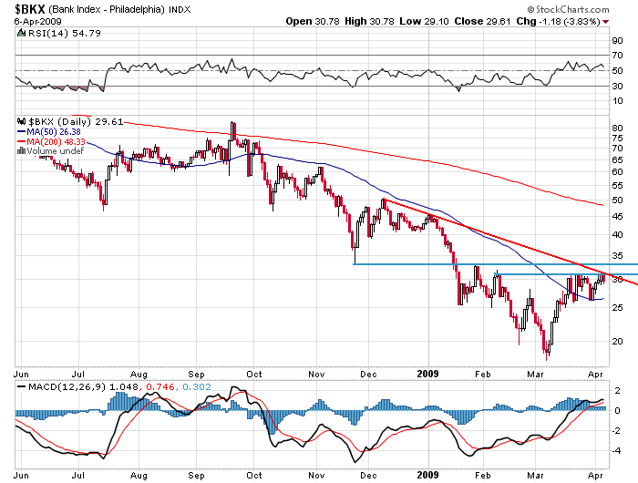 Der USA Bären-Thread 226216