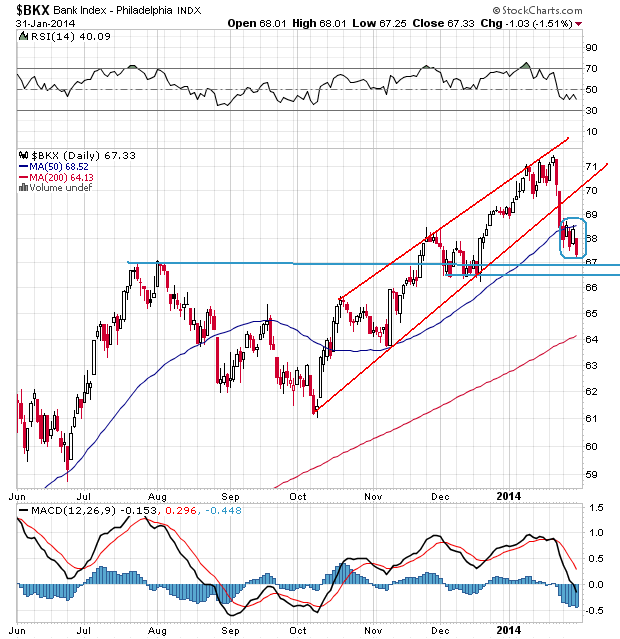 Der USA Bären-Thread 689830