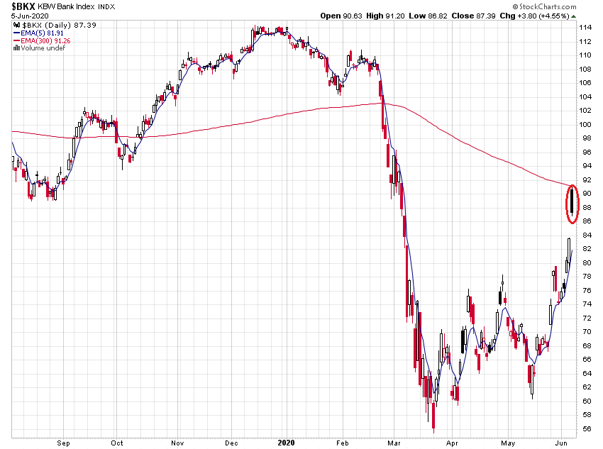 Der USA Bären-Thread 1183069