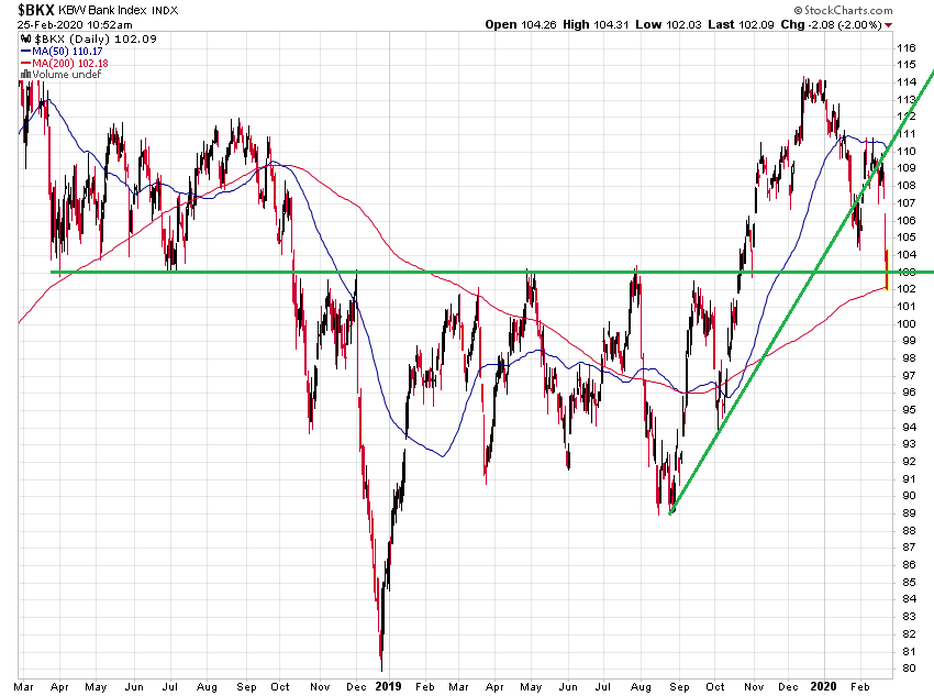 Der USA Bären-Thread 1162123