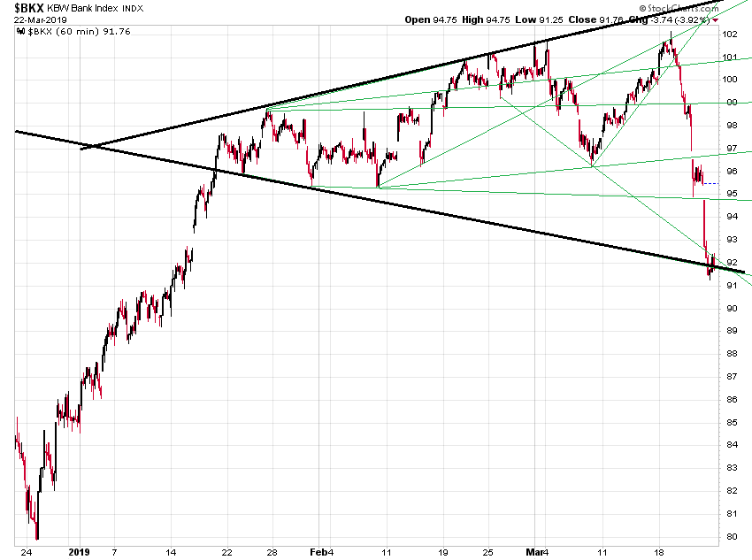 Der USA Bären-Thread 1103456