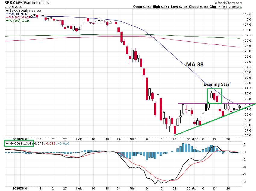 Der USA Bären-Thread 1174565
