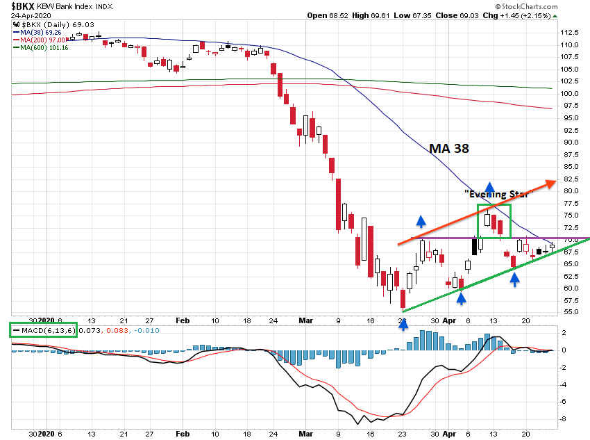 Der USA Bären-Thread 1174627