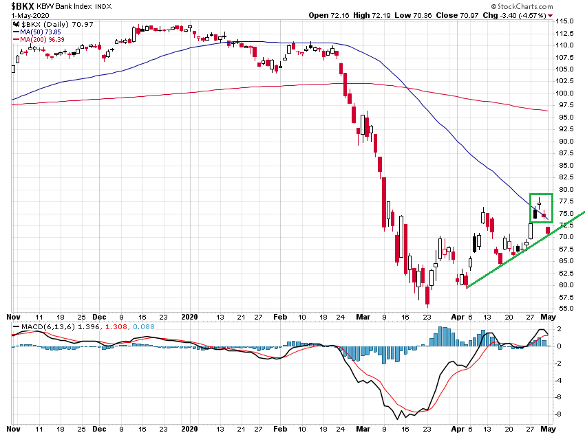 Der USA Bären-Thread 1175895