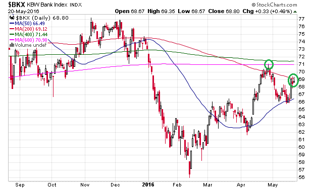 Der USA Bären-Thread 915349