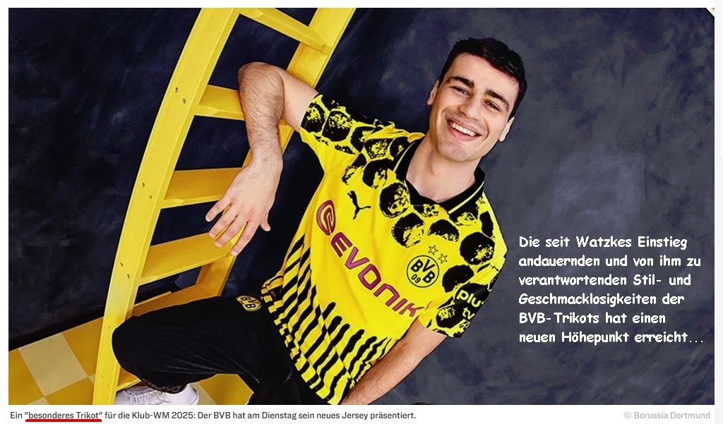 Spieltaganalyse und Kaderdiskussion BORUSSIA 09 1484412