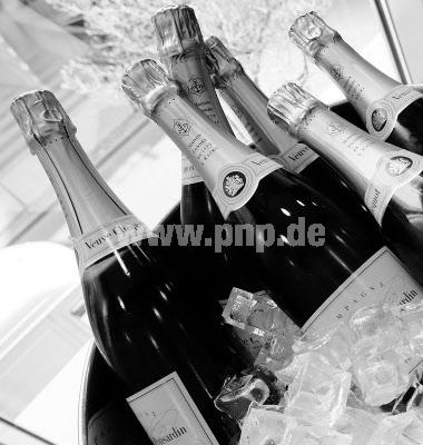 Der USA Bären-Thread 191402