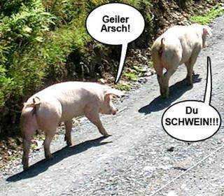 E.on SE - Chance oder Risiko 628008