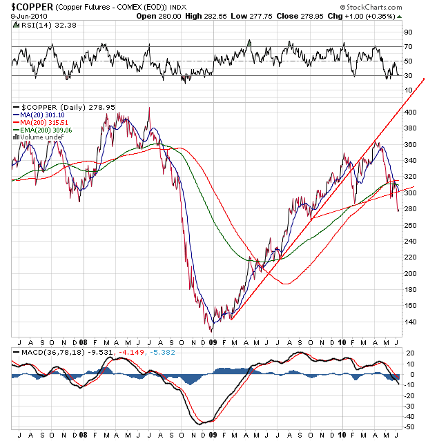 Der USA Bären-Thread 325560