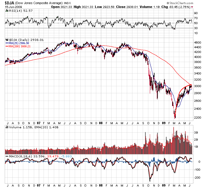 Der USA Bären-Thread 238924