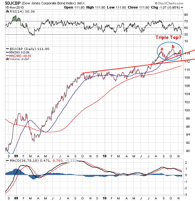 Der USA Bären-Thread 358770