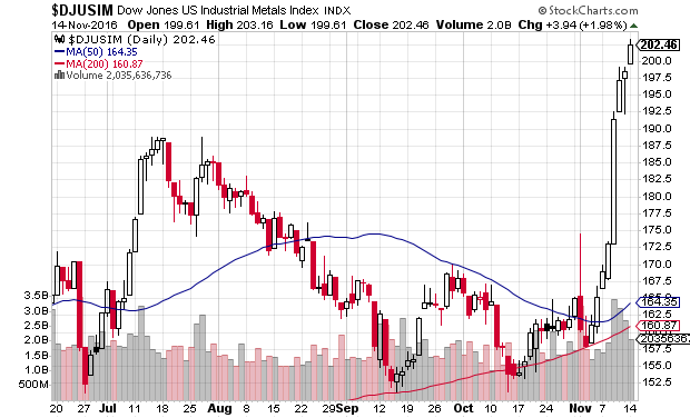 Der USA Bären-Thread 952544