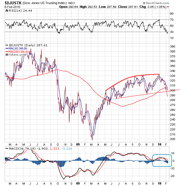 Der USA Bären-Thread 298151