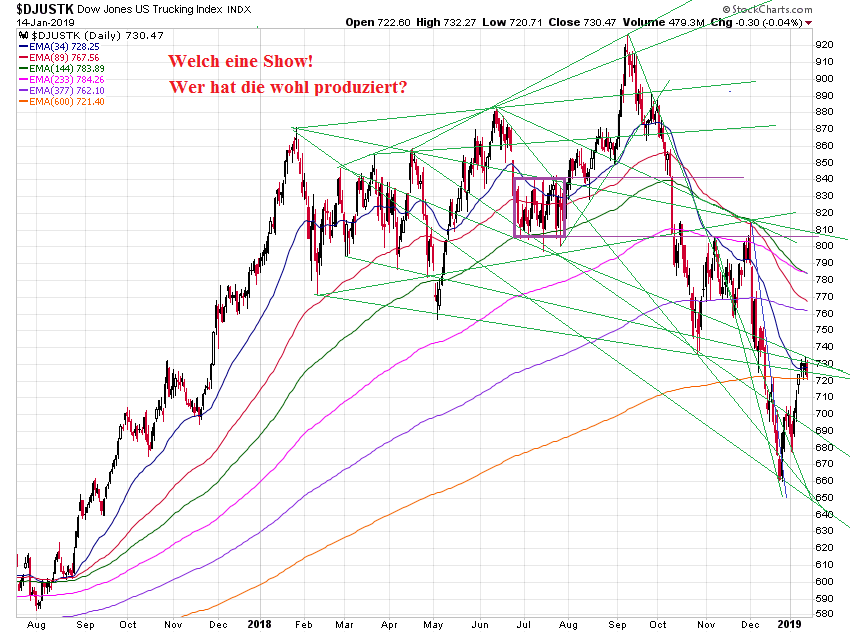 Der USA Bären-Thread 1091526