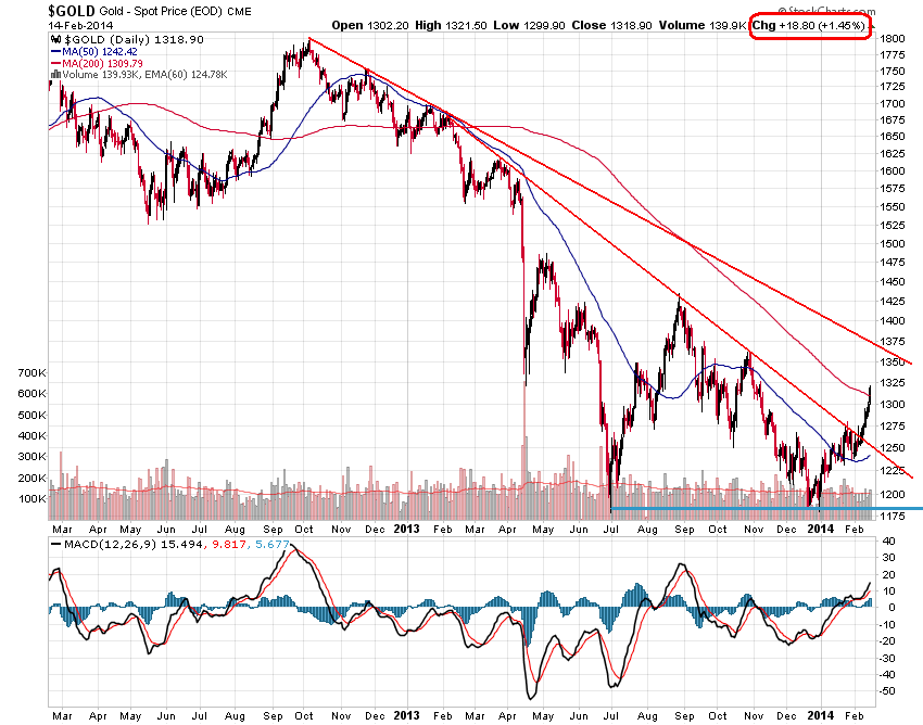 Der USA Bären-Thread 695576