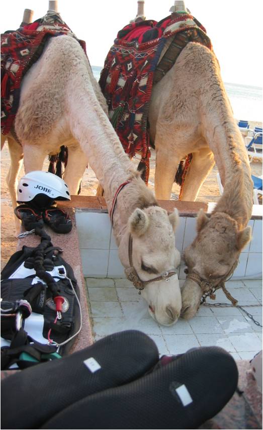 Der Antizykliker-Thread 377138