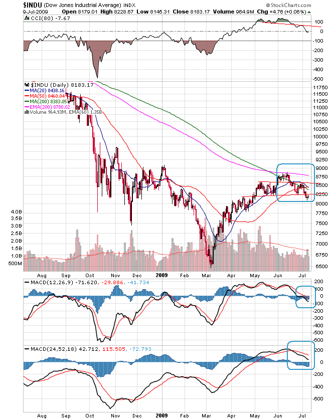 Der USA Bären-Thread 244095