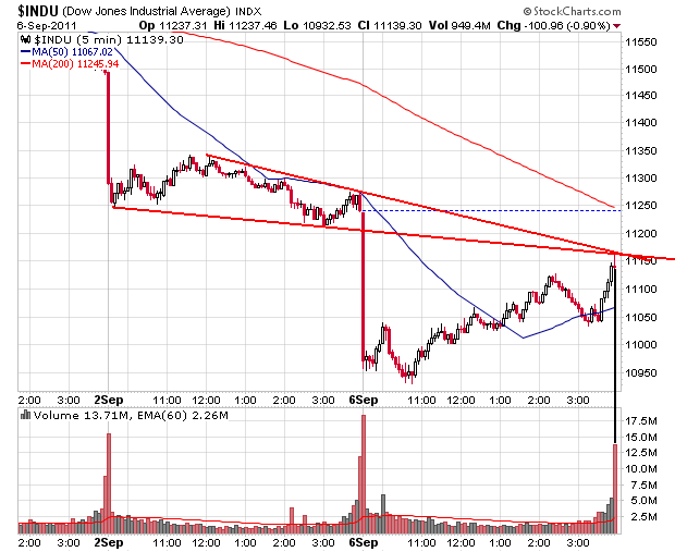 Der USA Bären-Thread 436871
