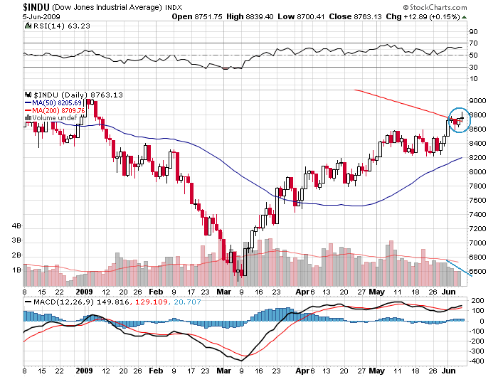 Der USA Bären-Thread 237131