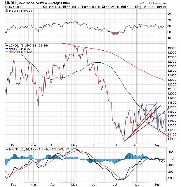 Der USA Bären-Thread 186192