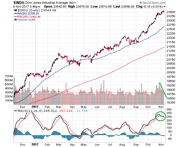 Der USA Bären-Thread 1022742