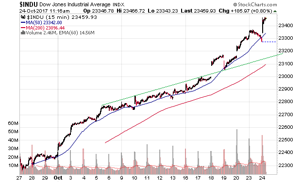 Der USA Bären-Thread 1019727