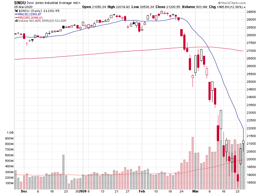 Der USA Bären-Thread 1168892