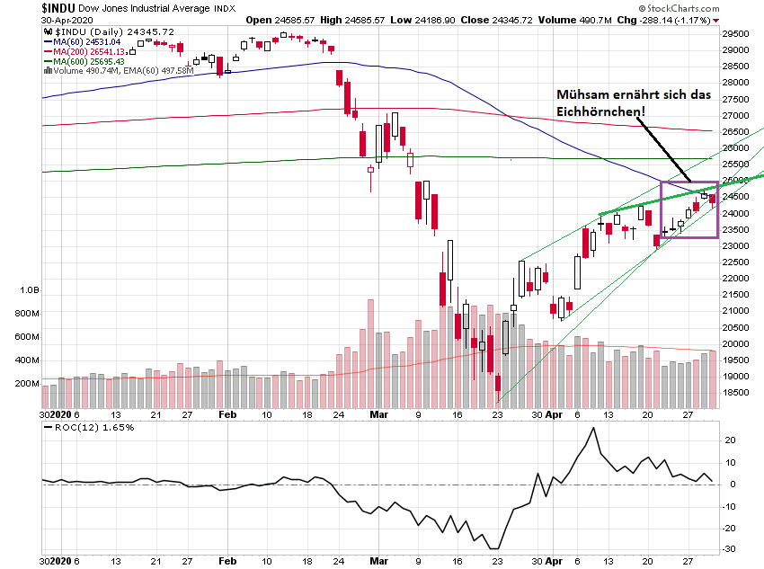 Der USA Bären-Thread 1175760