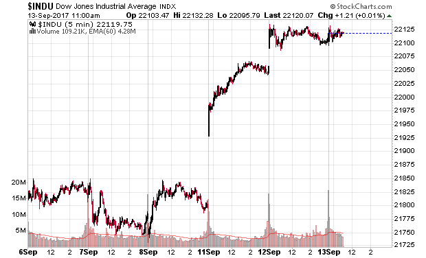 Der USA Bären-Thread 1012095