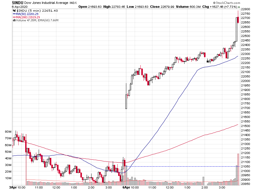 Der USA Bären-Thread 1171115