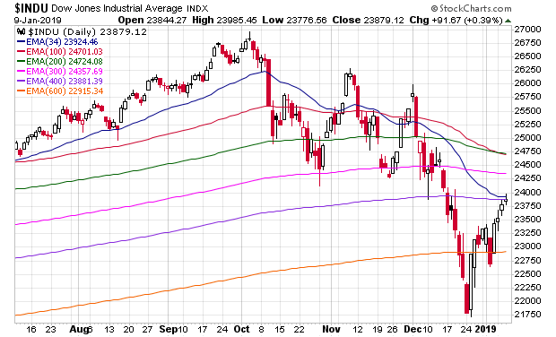 Der USA Bären-Thread 1090837