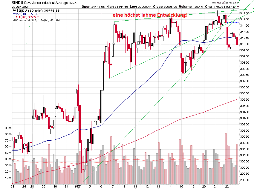 Der USA Bären-Thread 1228310