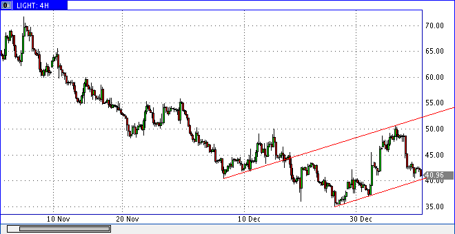 Die Bullen scharren gar nicht mit den Hufen, 209494