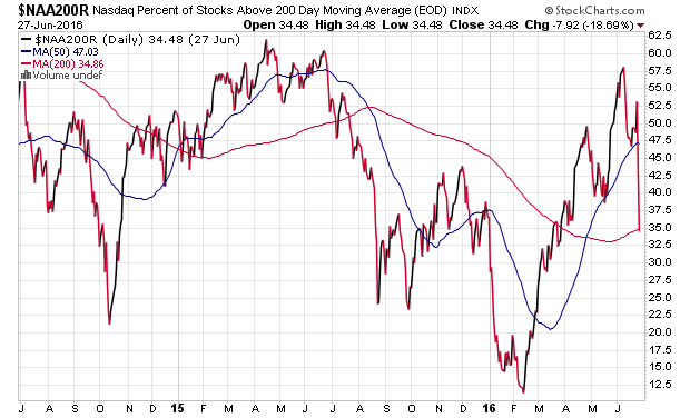 Der USA Bären-Thread 923569