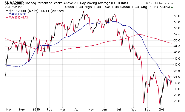 Der USA Bären-Thread 866822