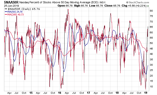 Der USA Bären-Thread 1093418