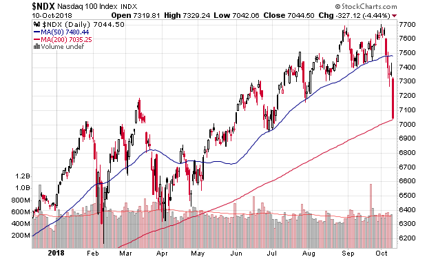 Der USA Bären-Thread 1077802