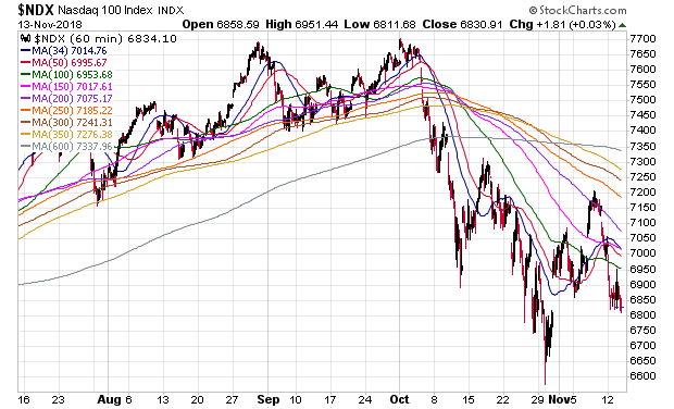 Der USA Bären-Thread 1082778