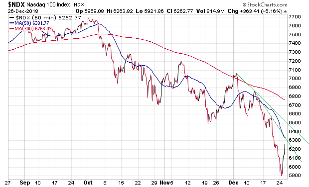 Der USA Bären-Thread 1089252