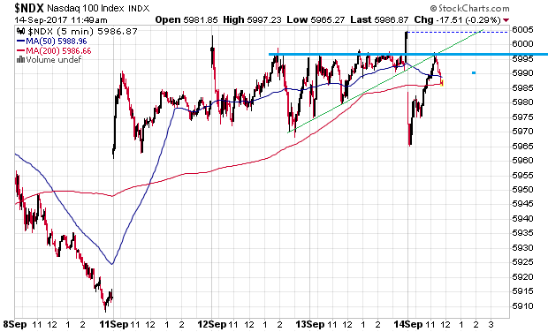 Der USA Bären-Thread 1012344