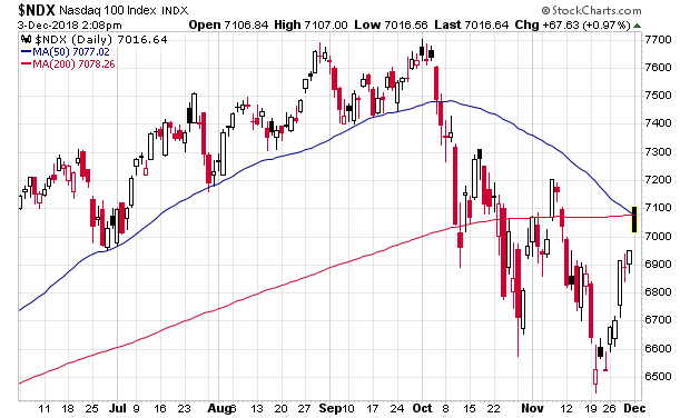Der USA Bären-Thread 1085930