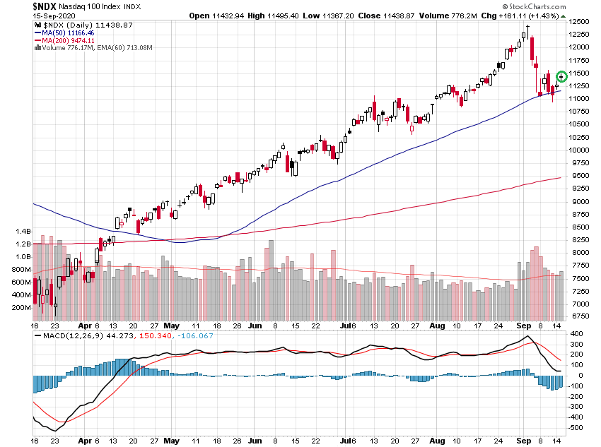 Der USA Bären-Thread 1201691