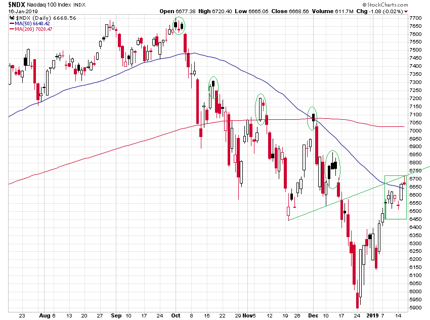 Der USA Bären-Thread 1091843